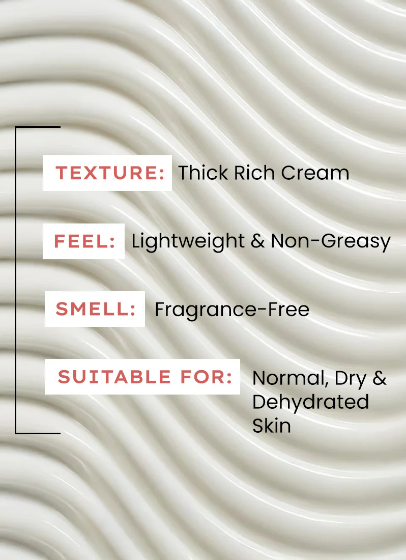 7% Ceramides-NMF Face Moisturizer Rich Pillow Cream - 50 ml - Image 9
