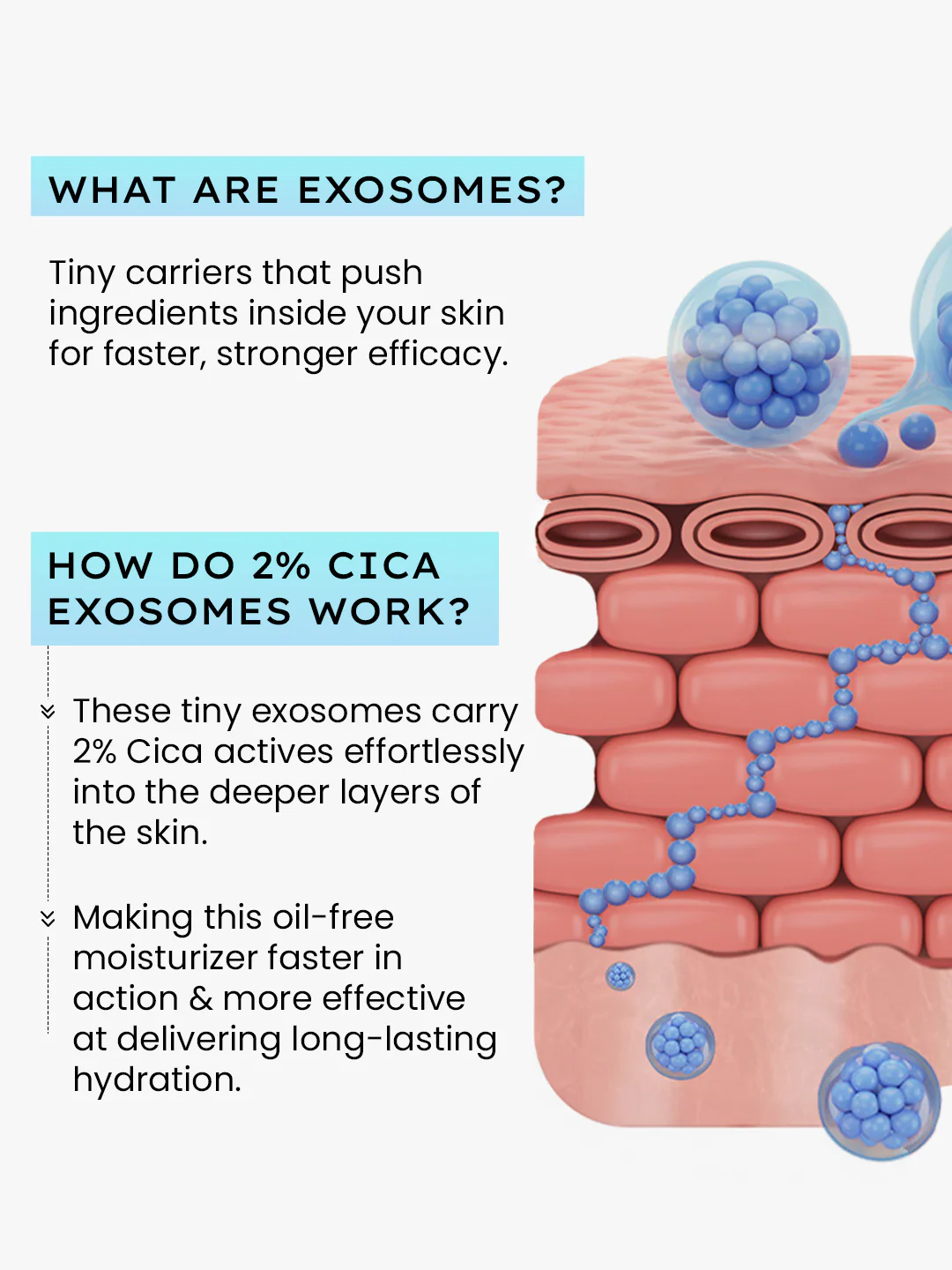 2% Cica Exosomes Oil-Free Moisturizer - 50ml - Image 5